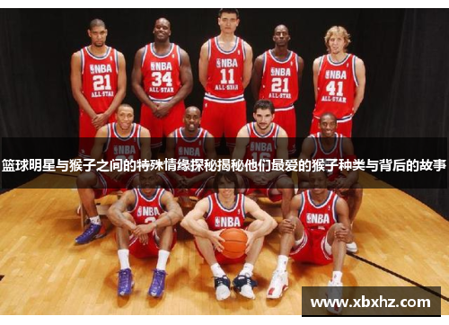 篮球明星与猴子之间的特殊情缘探秘揭秘他们最爱的猴子种类与背后的故事